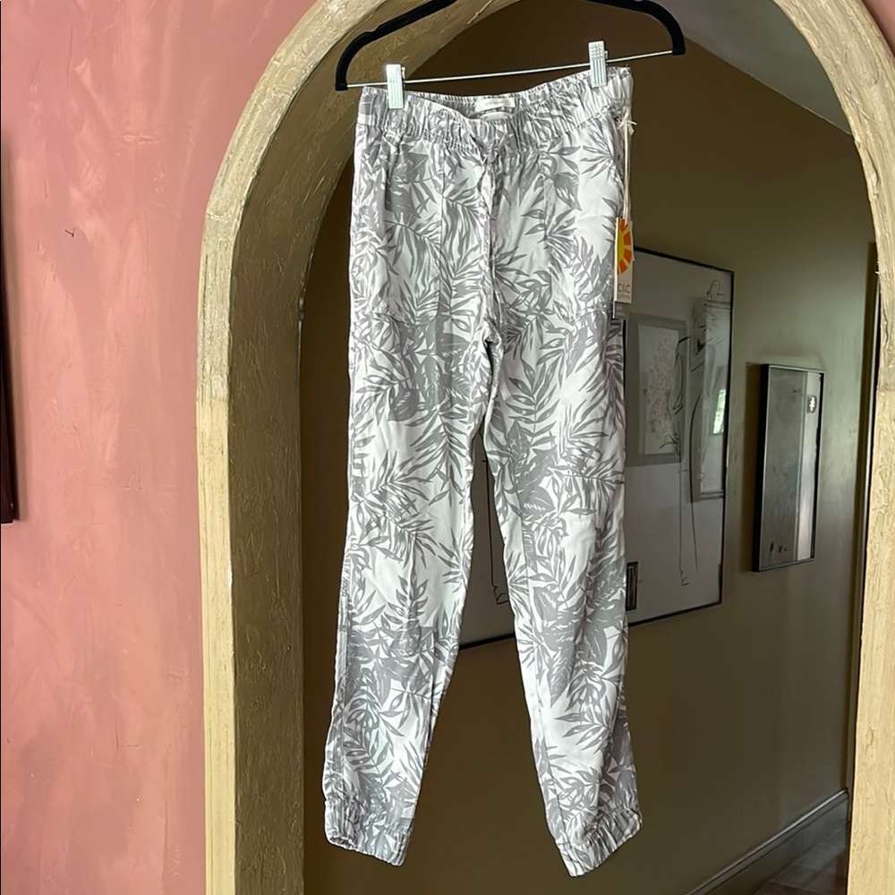 C&C California casual pants